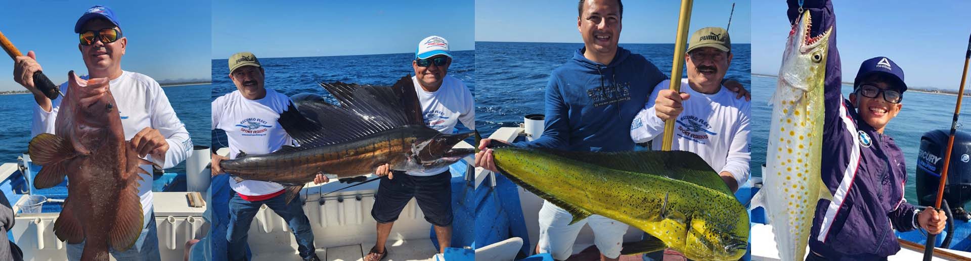 RENTA DE YATES Y PESCA DEPORTIVA EN MAZATLAN ESCUALO FLEET SPORT FISHING RENTA DE YATES Y PESCA DEPORTIVA EN MAZATLAN ESCUALO FLEET SPORT FISHING